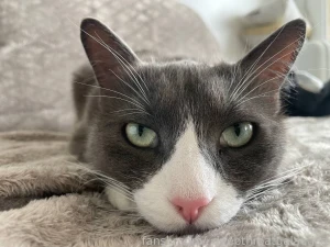 A couple lil facts about me i m obsessed with tattoos they re my way part 2