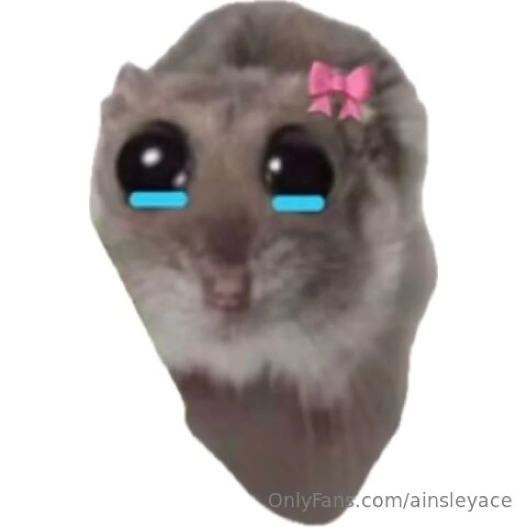 Rahhhh give me attention 