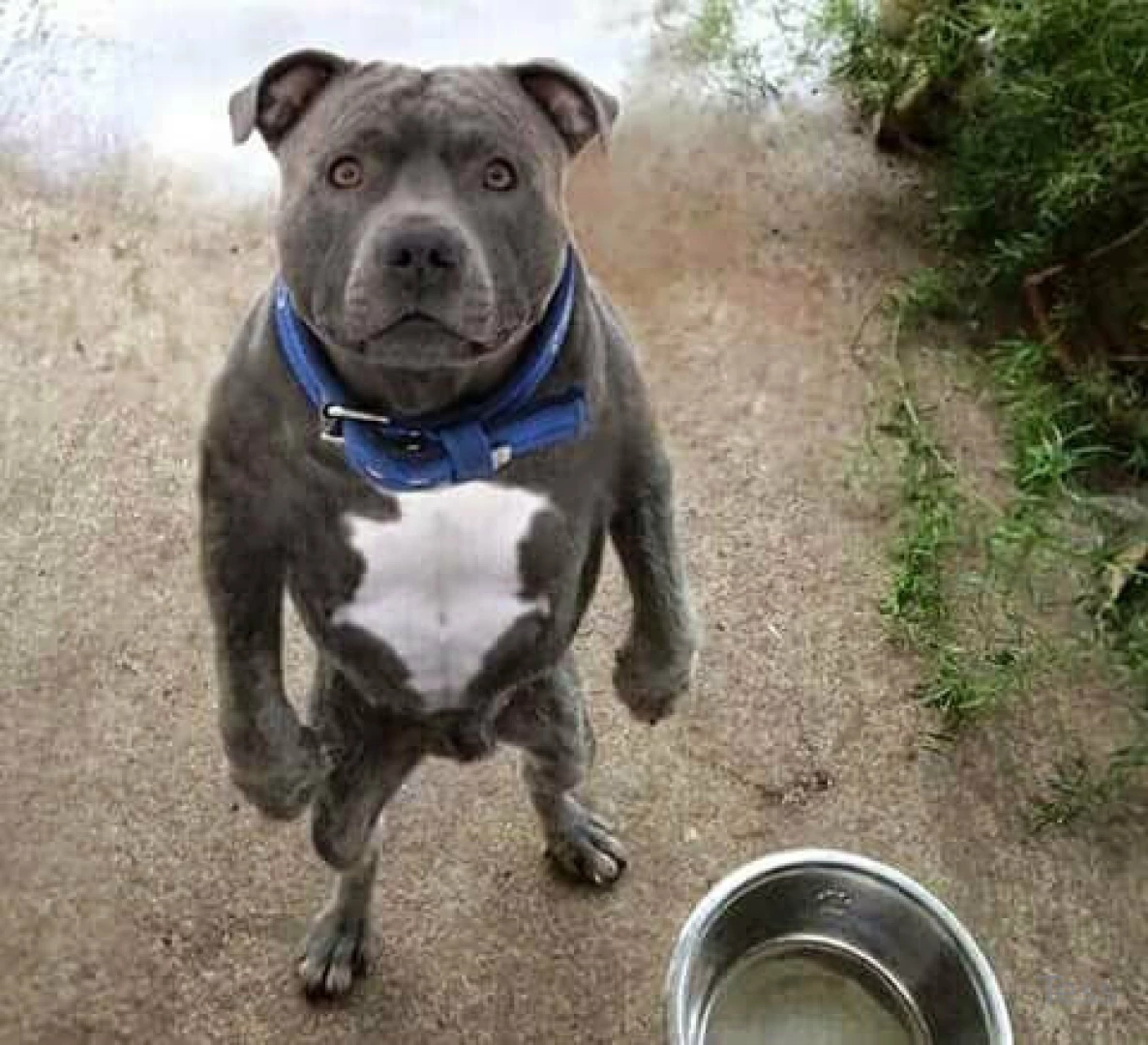 Just thought it was funny 