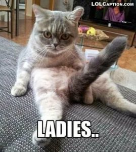 I can picture so many men saying doing this