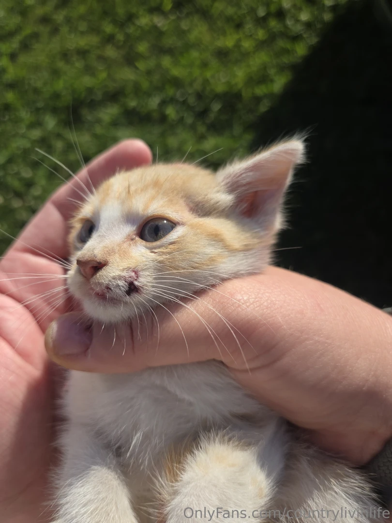 This is the reason i have these accounts sounds weird i know but this part 2 