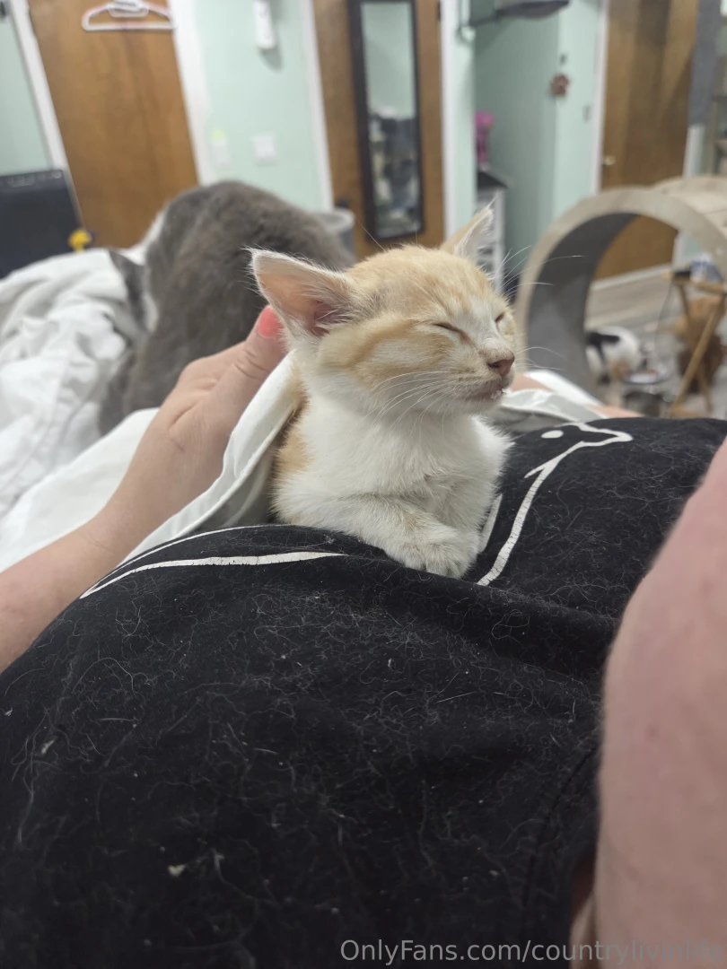 This is the reason i have these accounts sounds weird i know but this part 3 