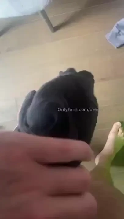 A short preview from yesterday s 6 ppv couldn t hide the bollocks from 