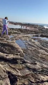 Hiking crystal cove ca