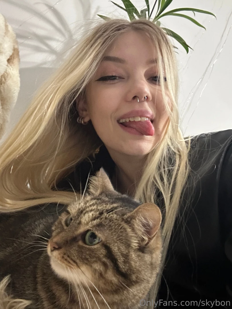 Here are 2 kittens right 
