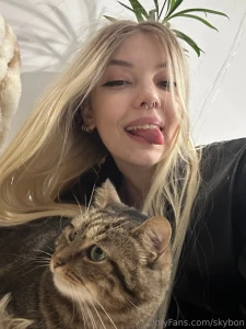 Here are 2 kittens right