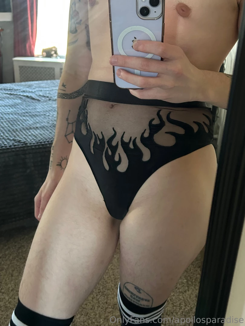 Apollosparadise part 1603071 