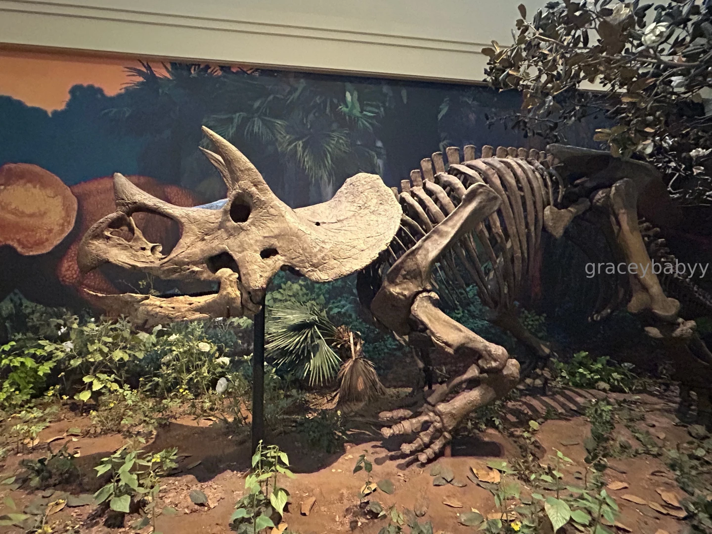 Such a cool day yesterday not excited for classes to start back next part 2 