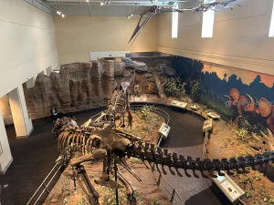 Such a cool day yesterday not excited for classes to start back next part 1