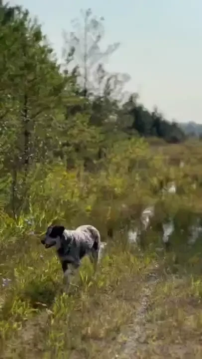 Went on a little hike with the sexy leahwbrooke nbsp if you havnt 