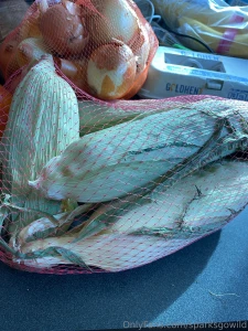 Omg would you believe my friend gave me all this good produce wow i part 3