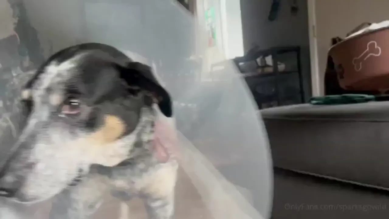 Happy new day i made this little video for you this morning swipe to part 1 