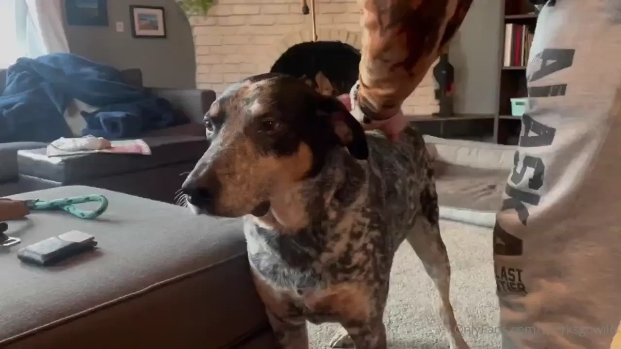 Happy new day i made this little video for you this morning swipe to 