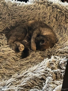 Hi there miss me how was your holidays guys mine was awful gonna back part 2