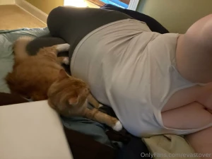 The world s cuddliest cat