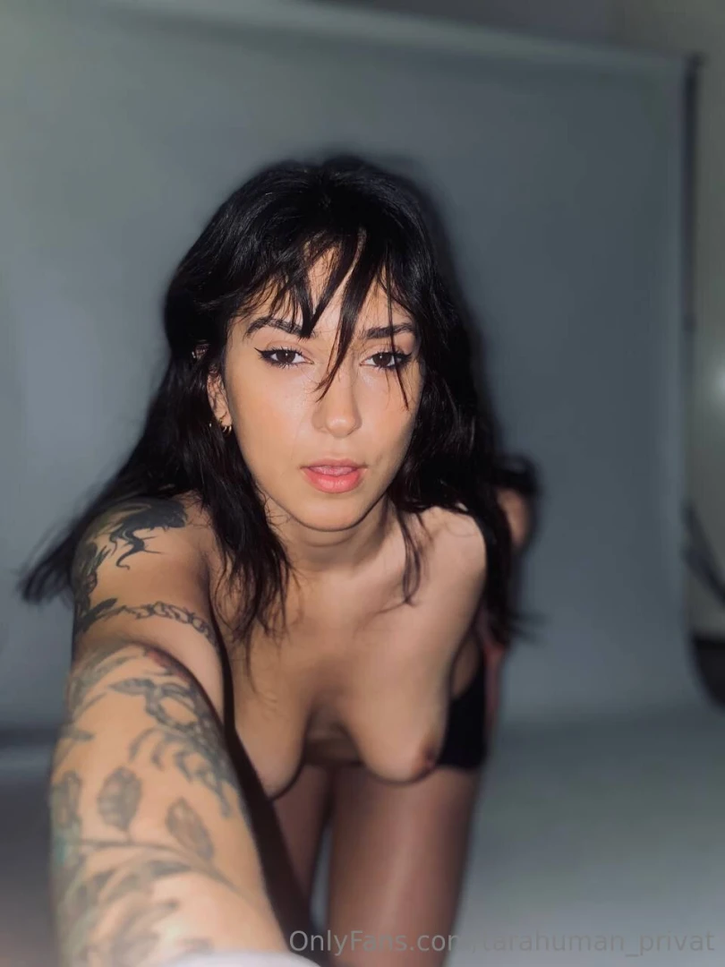 Xvander ok your new obsession sensual playful and full of surprises part 1 