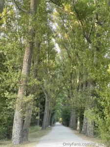 The country side part 2