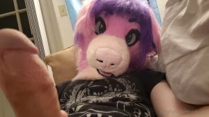 Punk puppy pics