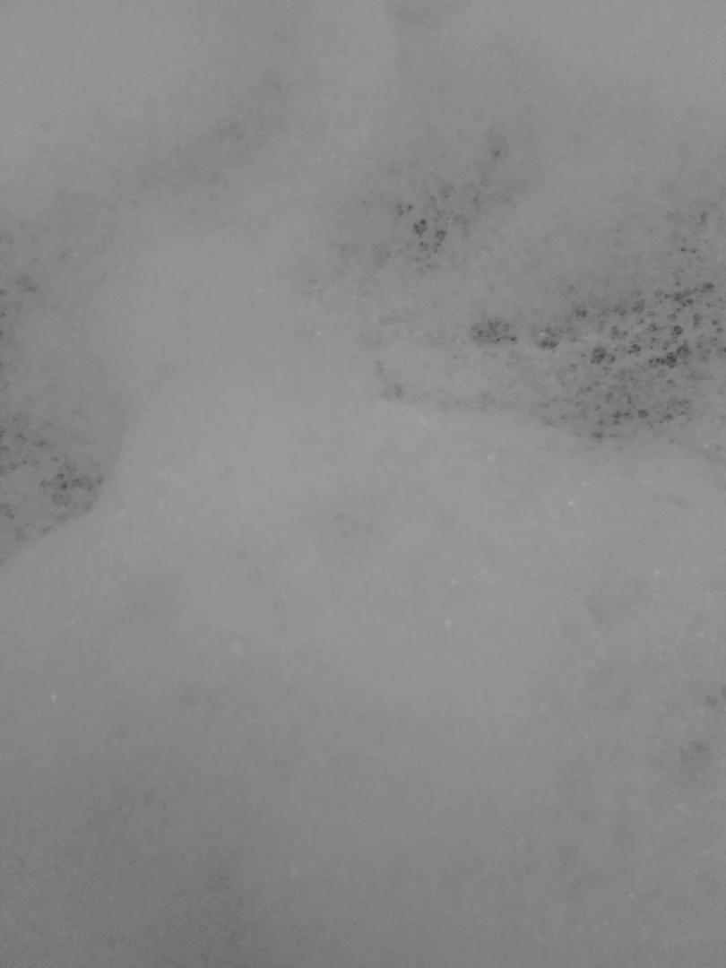 Jojo jojo navidad ya paso 