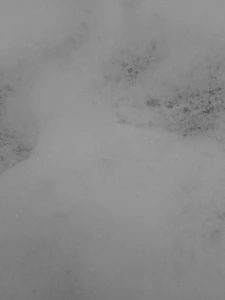 Jojo jojo navidad ya paso