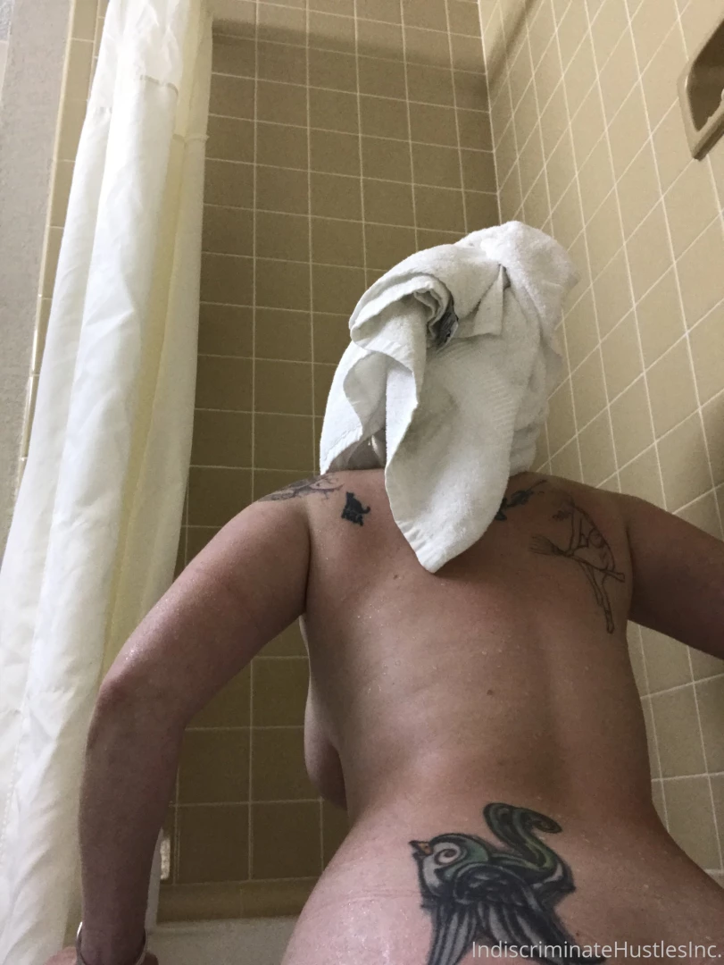 Https bentbox co showbox k9i9pb4p 