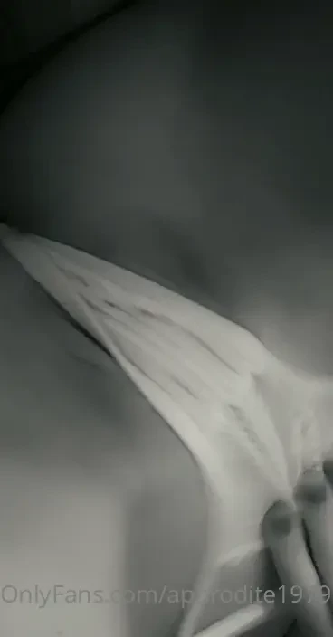 Happy monochrome monday part 5 