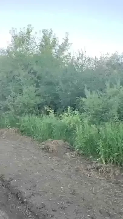 Behind the scenes clip of today s video i ll be sending out later had 