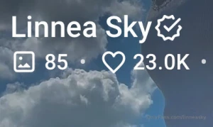 Bei 50k likes auf alle bilder in meinem profil schalte ich ein ganz