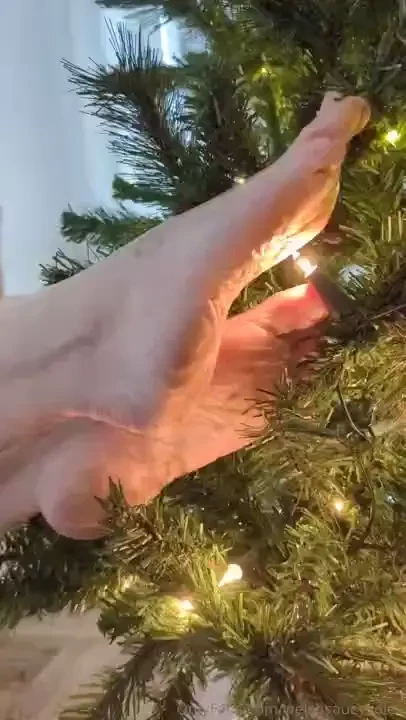 I love the feel of the tree bristles between my toes i hope you re all 