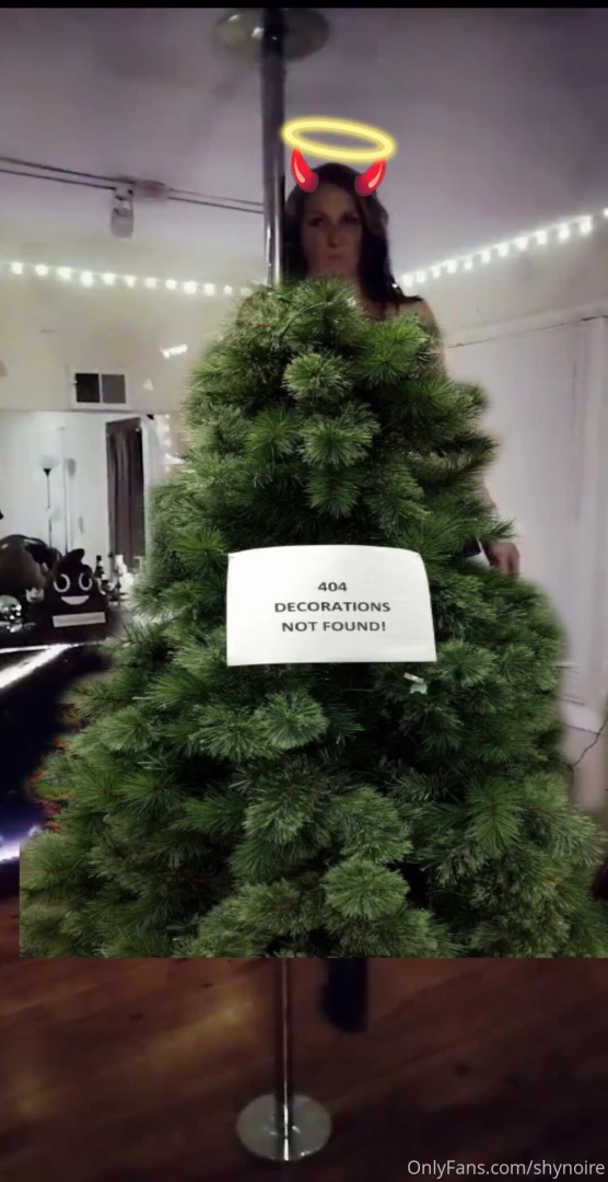 So i finally decided 2 put up a christmas tree amp decorate for 
