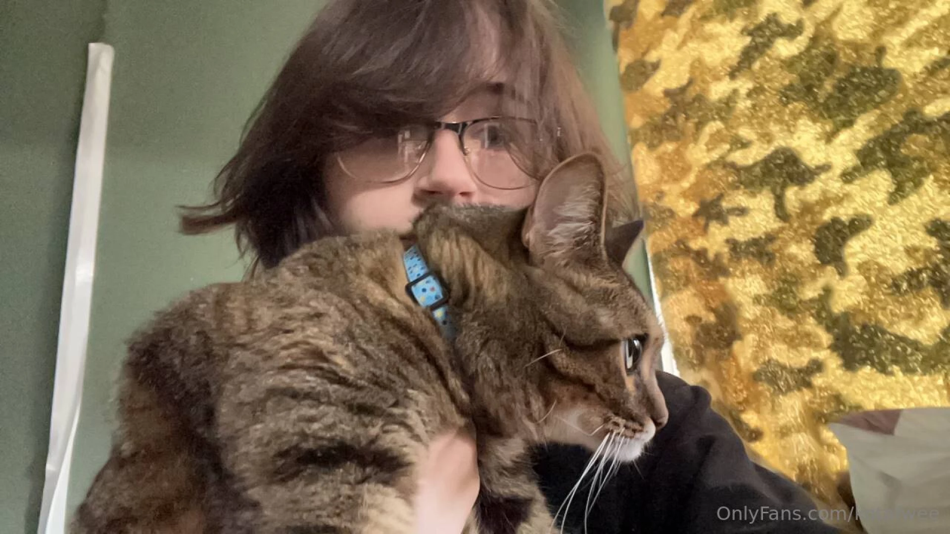 Say hello to my cute cat 