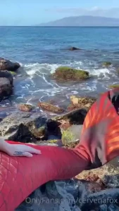 Living the dream part 8