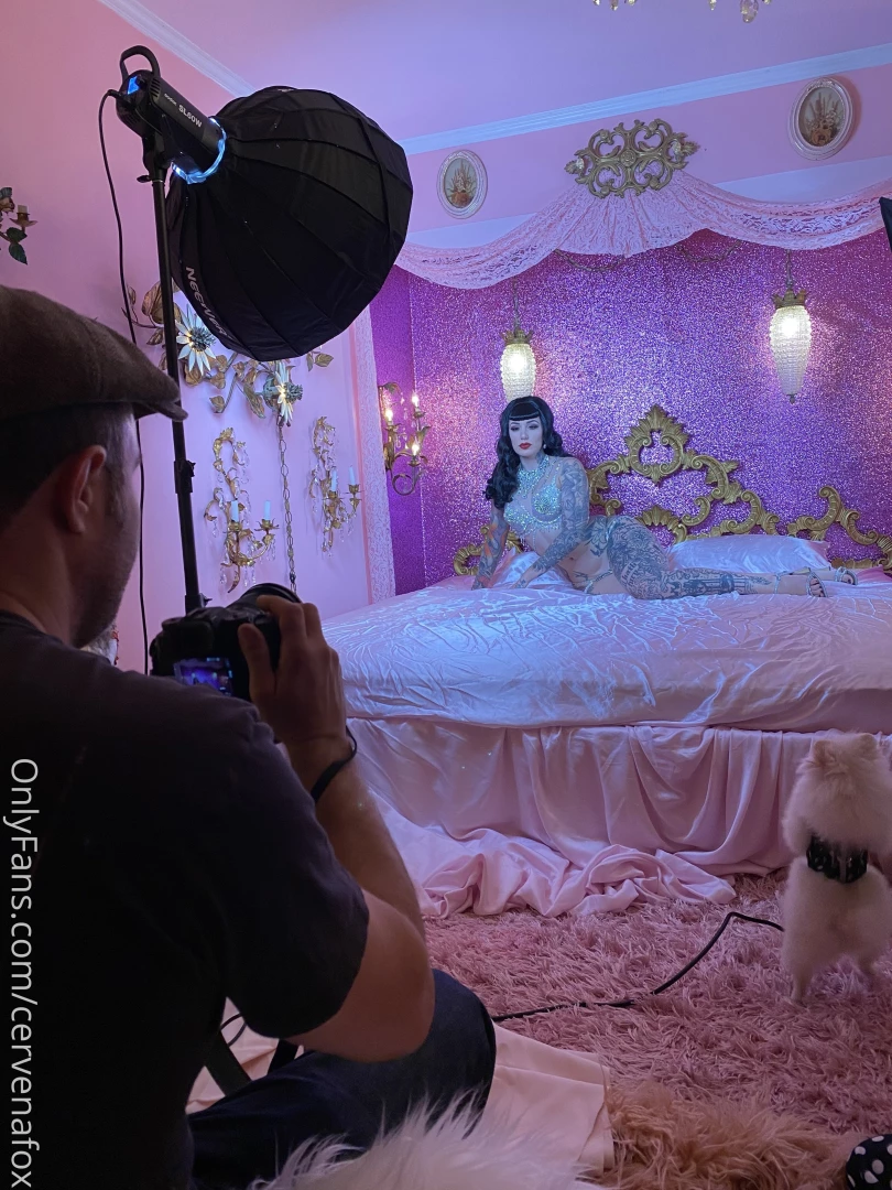 Cervenafox part 342 