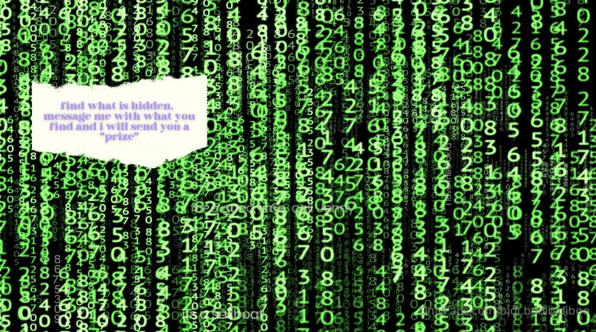 For funsies and a prize let me know what you see 