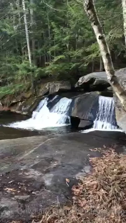 This is what it s like to go hiking with me 