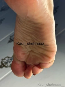 Kaur-shehnaaz