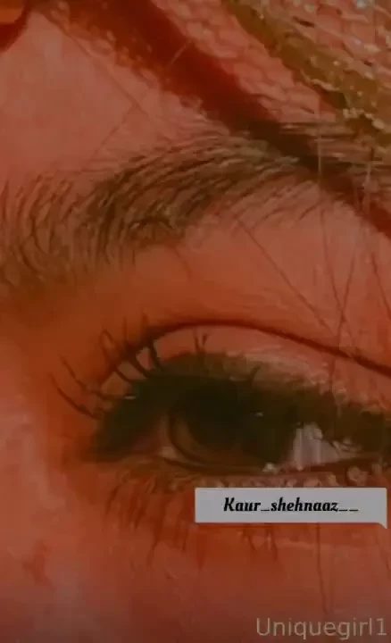 Kaur-shehnaaz part 22 