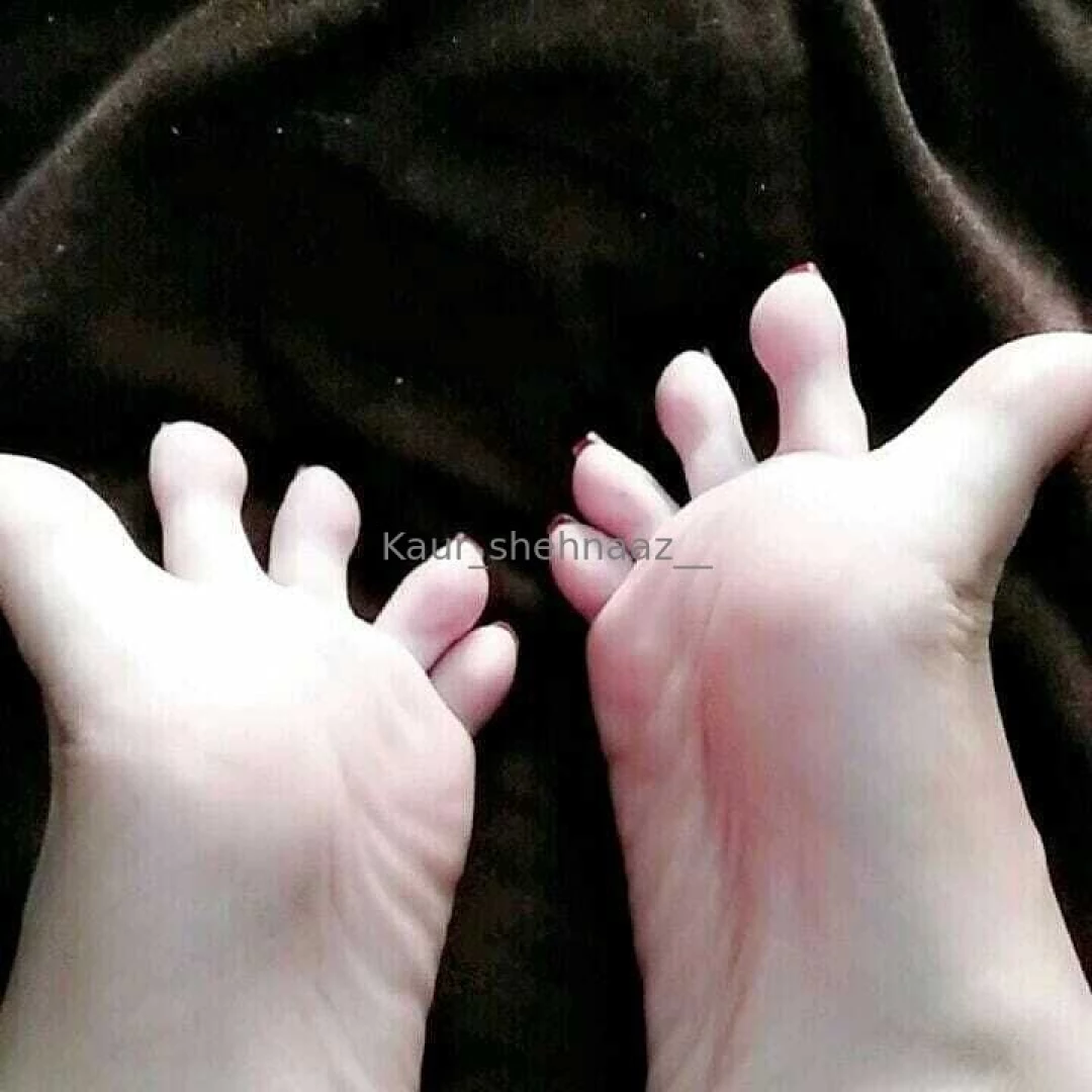 Kaur-shehnaaz part 18 