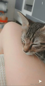 Seen i will post new pics nd video guys