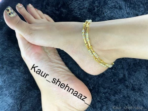 Kaur-shehnaaz part 25