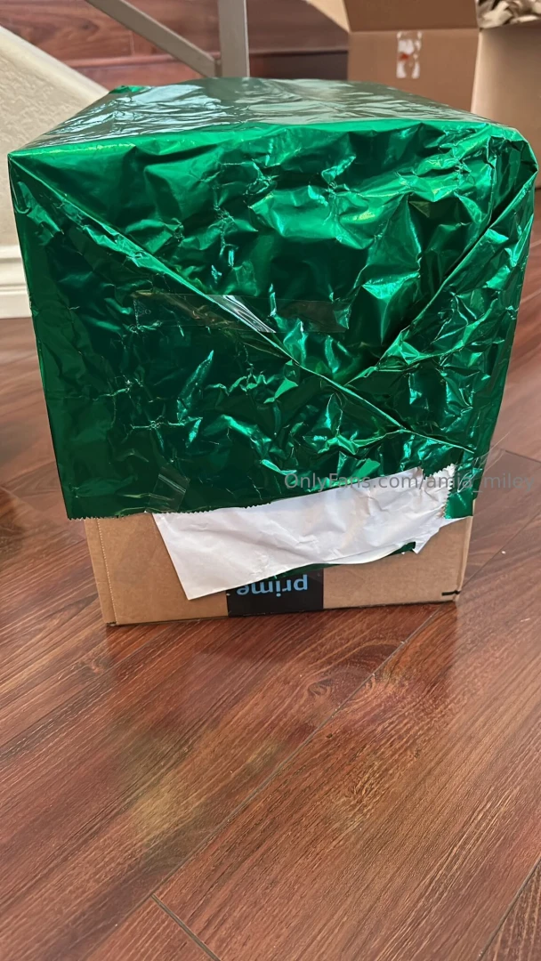 This is why i don t wrap christmas gifts don t judge me part 2 
