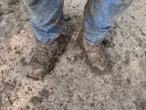 Hey besties it s angela jake s been busting his trying to get this