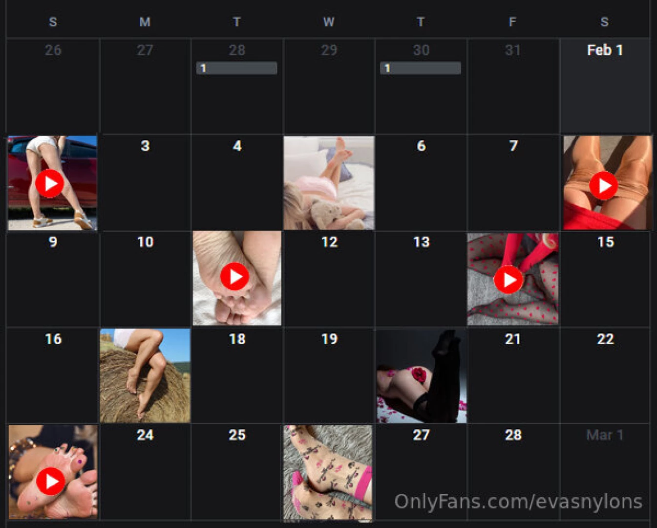 What to expect this month check the update calendar for february 