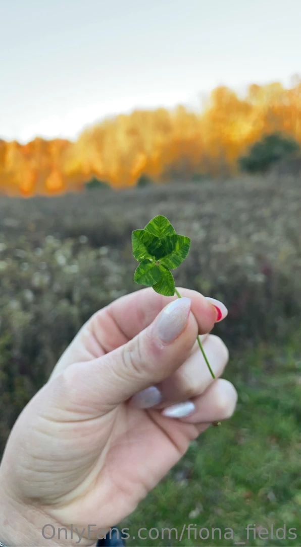 Oldie but goldie and the 5 leaf clover i found today 