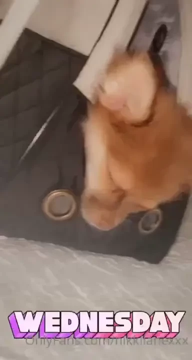 My little louis vuitton 