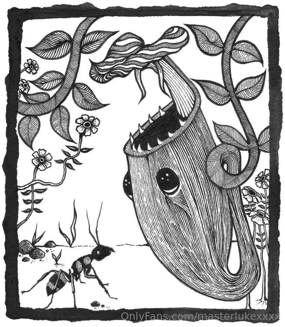 The ant and the pitcher plant pen and ink a whimsical little scene i 