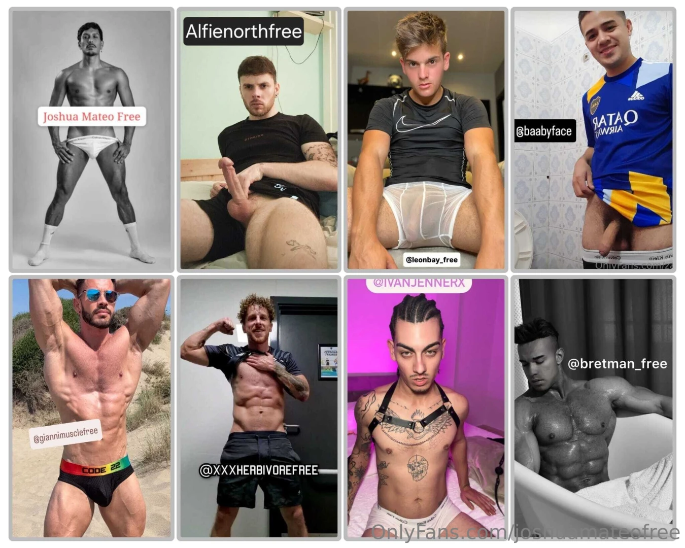 1 joshuamateofree 2 alfienorthfree 3 leonbay_free 4 baabyface 5 