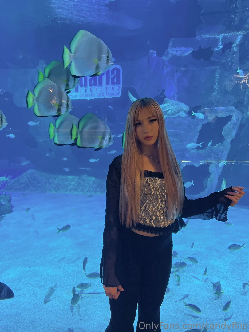 Today i visited the oceanarium very cool and beautiful place a lot of 