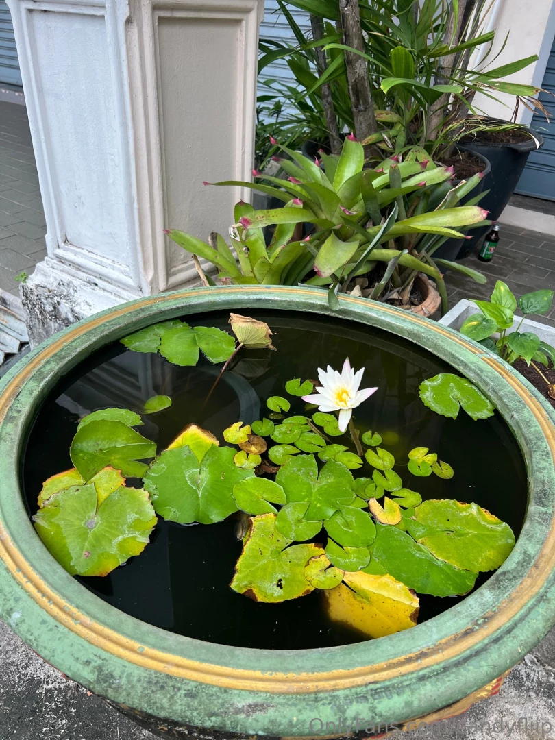 I love finding such cute corners in the city do you like such things 