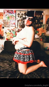 Dumb little puppy can t do anything except sit lay trip and pose who s part 4